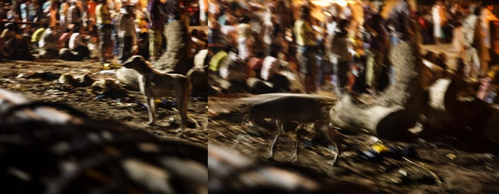 Atul Bhalla, PERIferal God, 2011