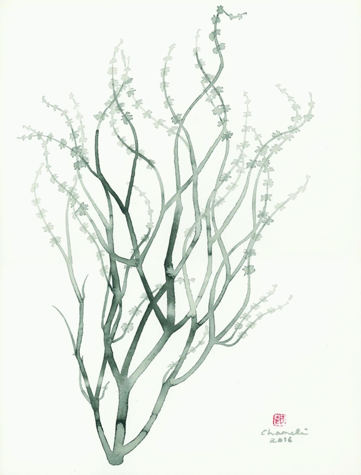 Chameli Ramachandran, Untitled, 2016