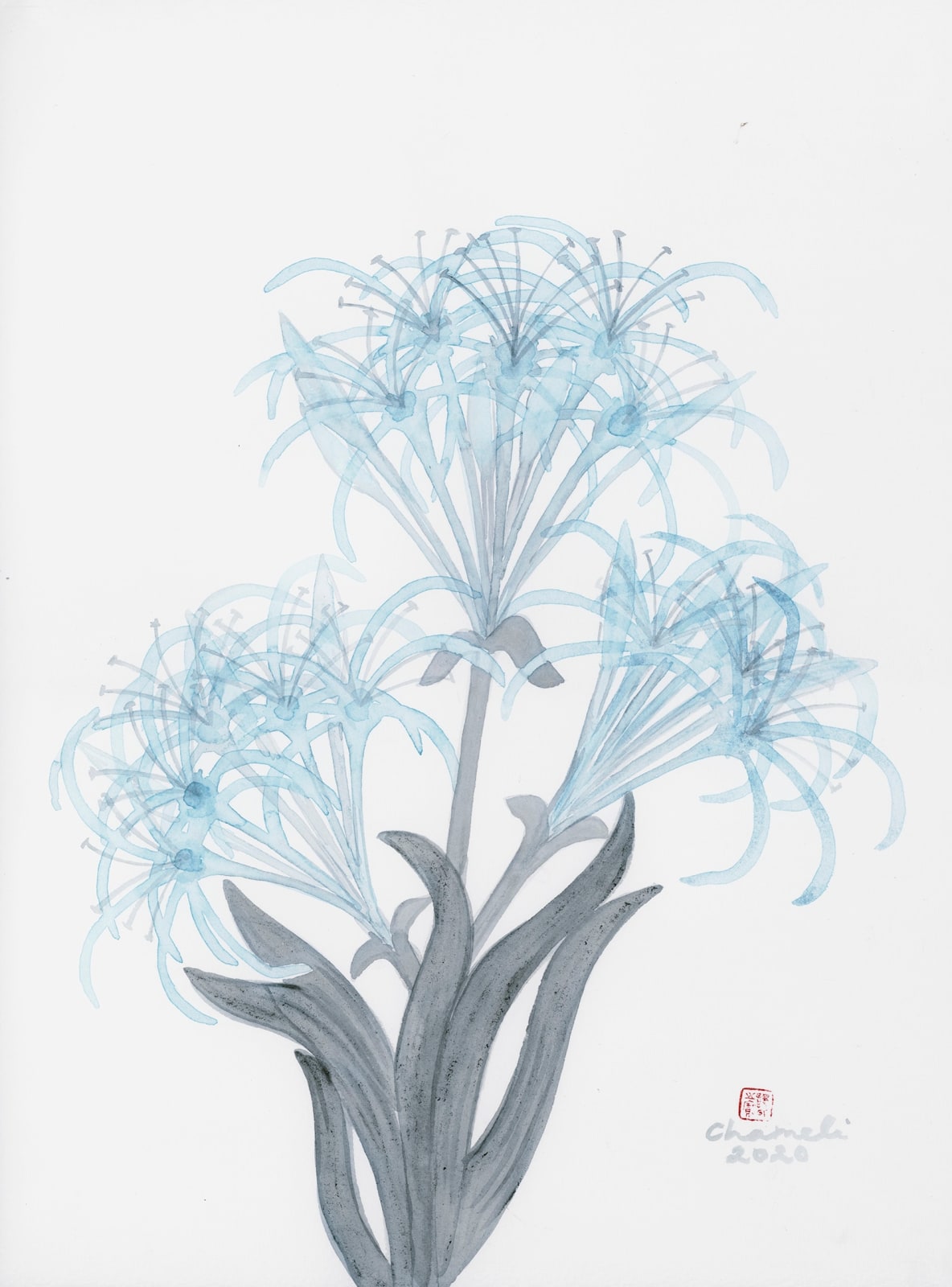 Chameli Ramachandran, Untitled, 2020