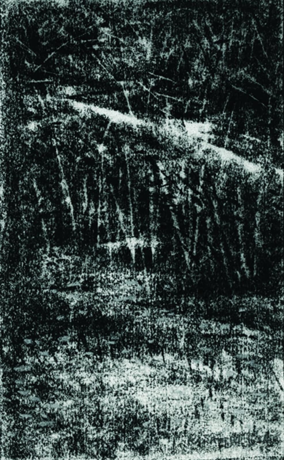 Paramjit Singh, Untitled, 2016