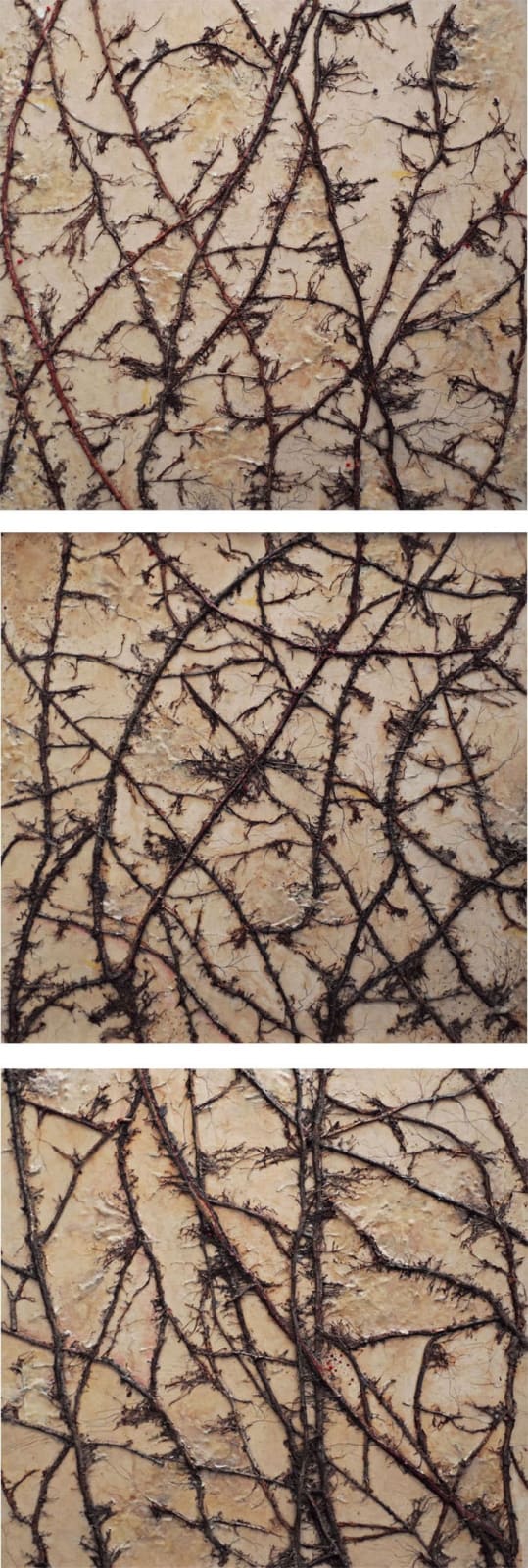 Pranati Panda, Untitled, 2017