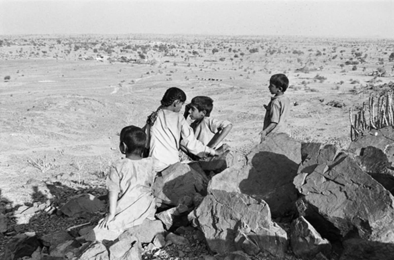 Gauri Gill, Jannat# 25 (Edition:1/7 + 2AP), 9907