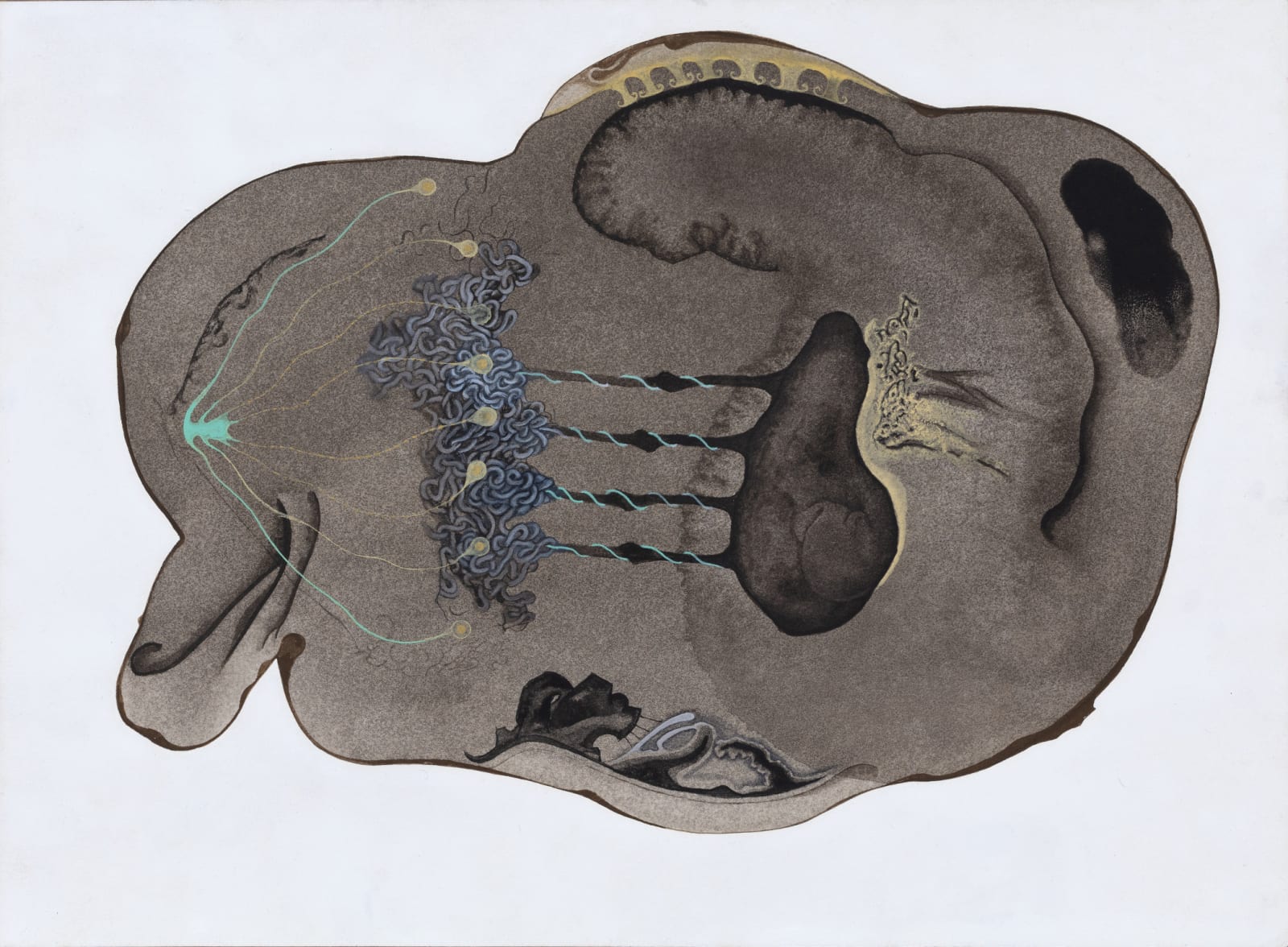 Anandajit Ray, Pseudo Pathogen - 6, 2019