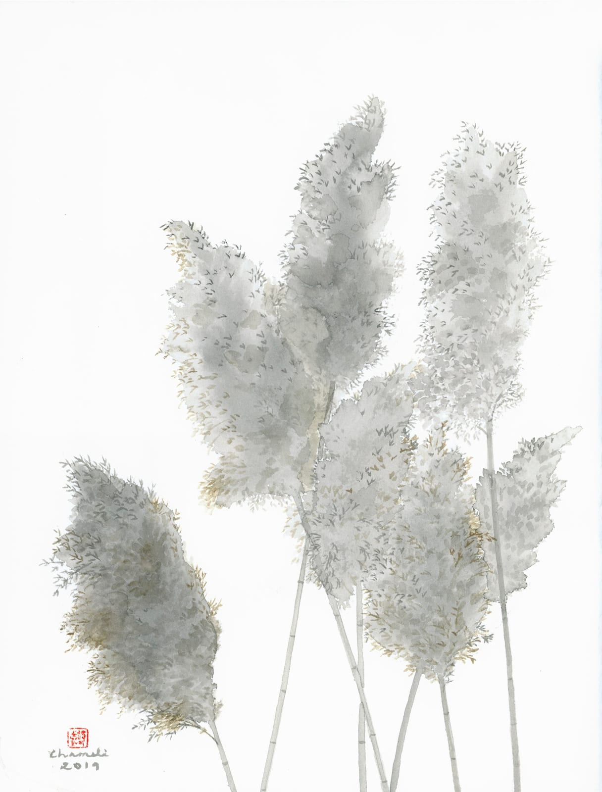 Chameli Ramachandran, Untitled, 2019