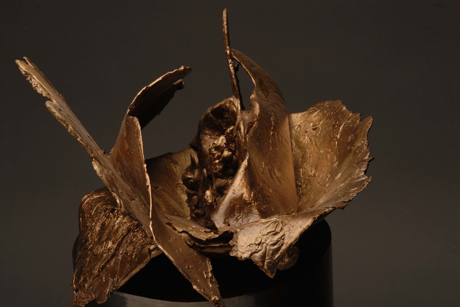 Mrinalini Mukherjee, Nucleus -I, 2006