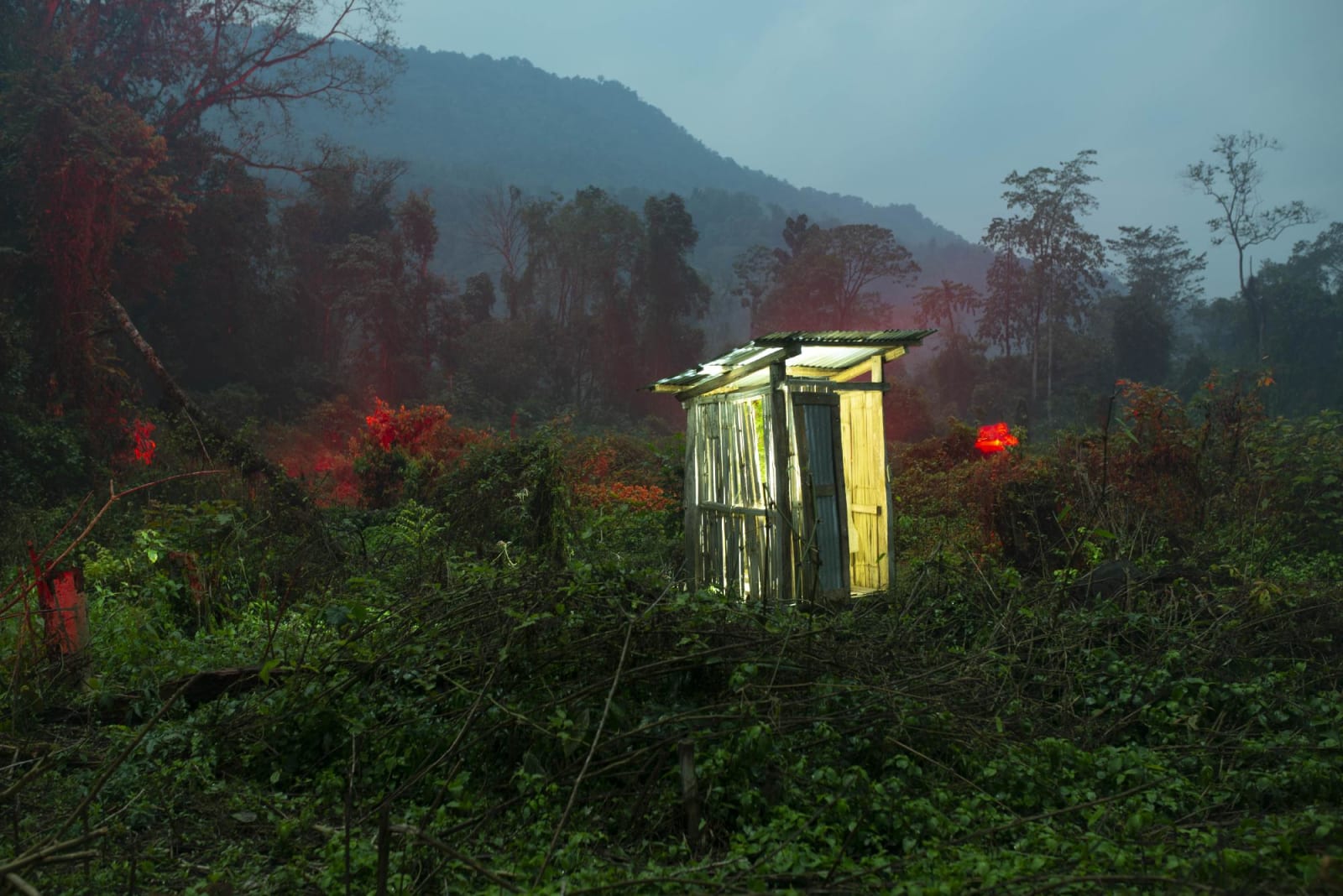 Sharbendu De, Untitled, 2013