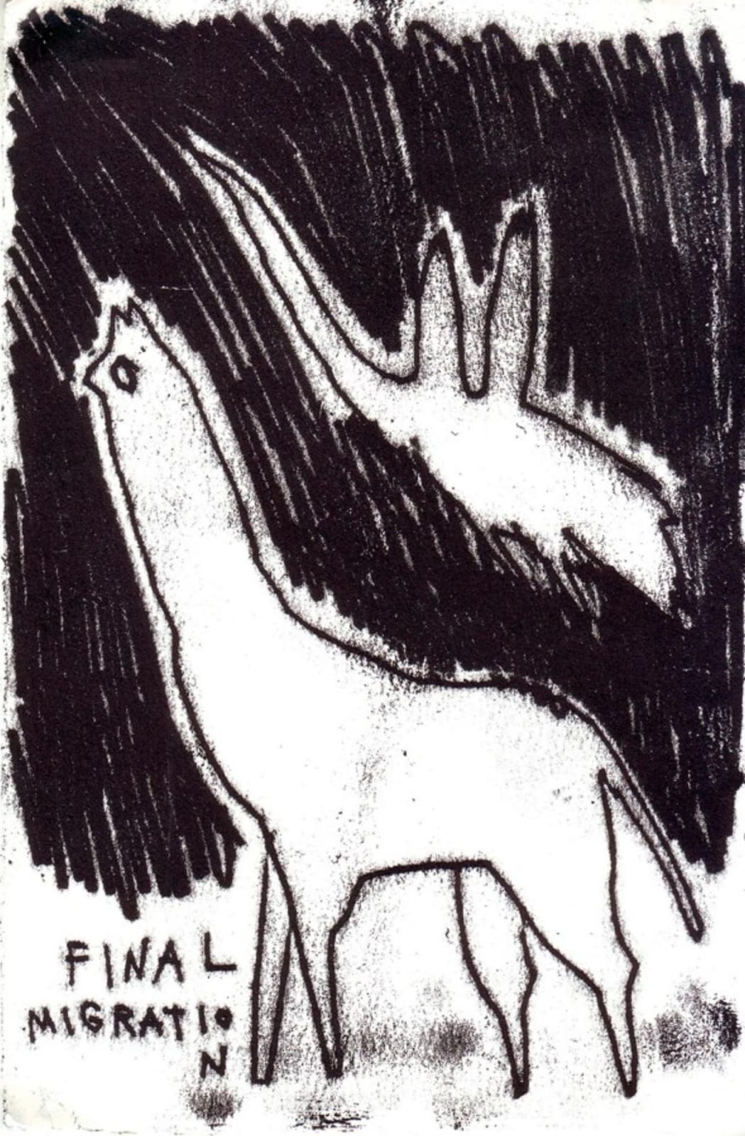 Renuka Rajiv, Untitled