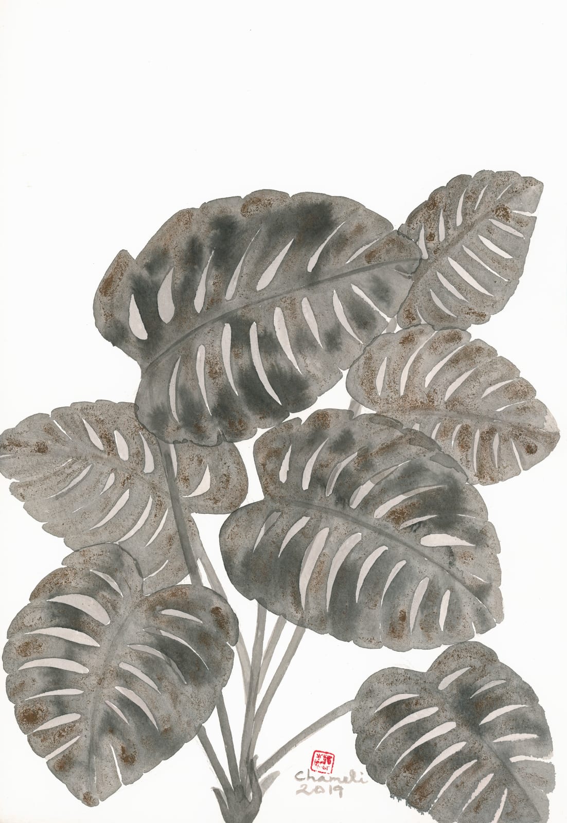 Chameli Ramachandran, Untitled, 2019