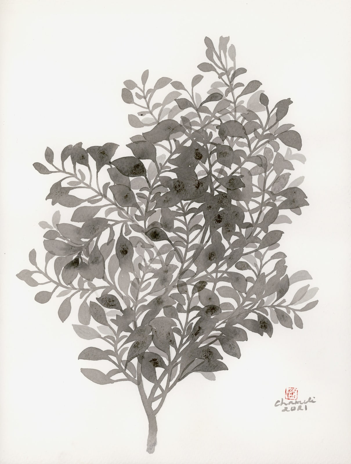Chameli Ramachandran, Untitled, 2021