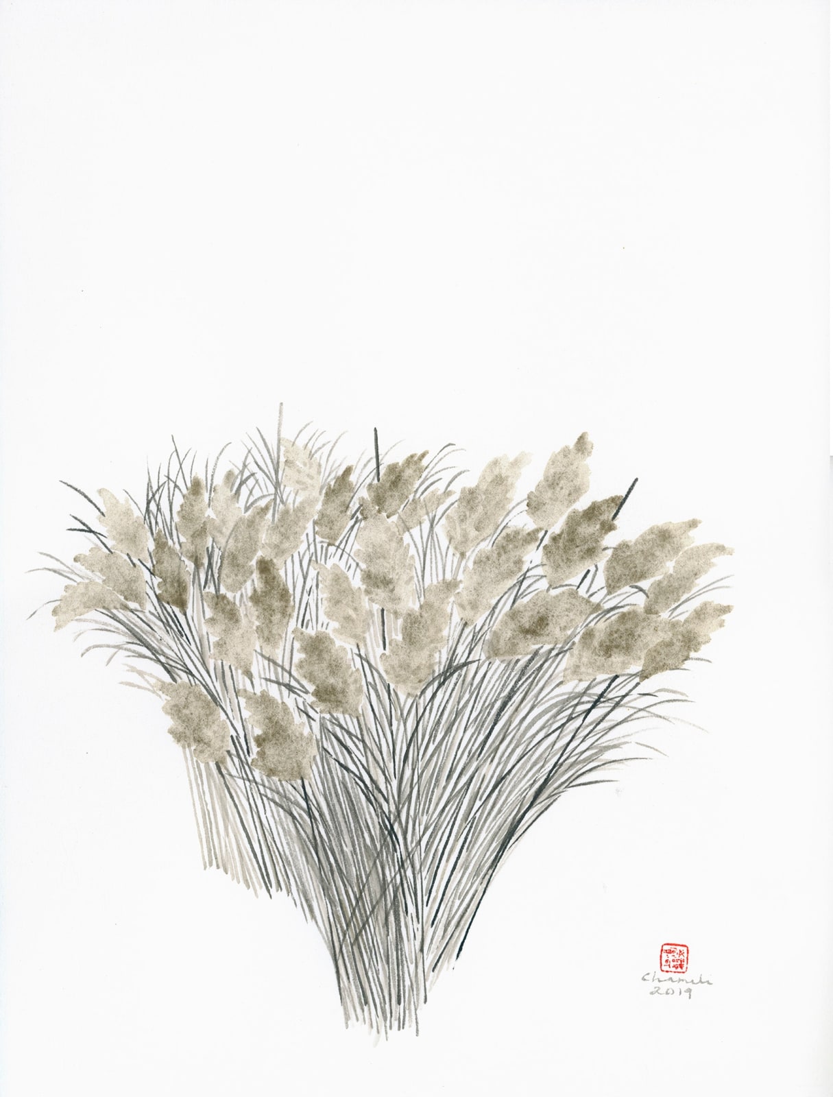 Chameli Ramachandran, Untitled, 2019