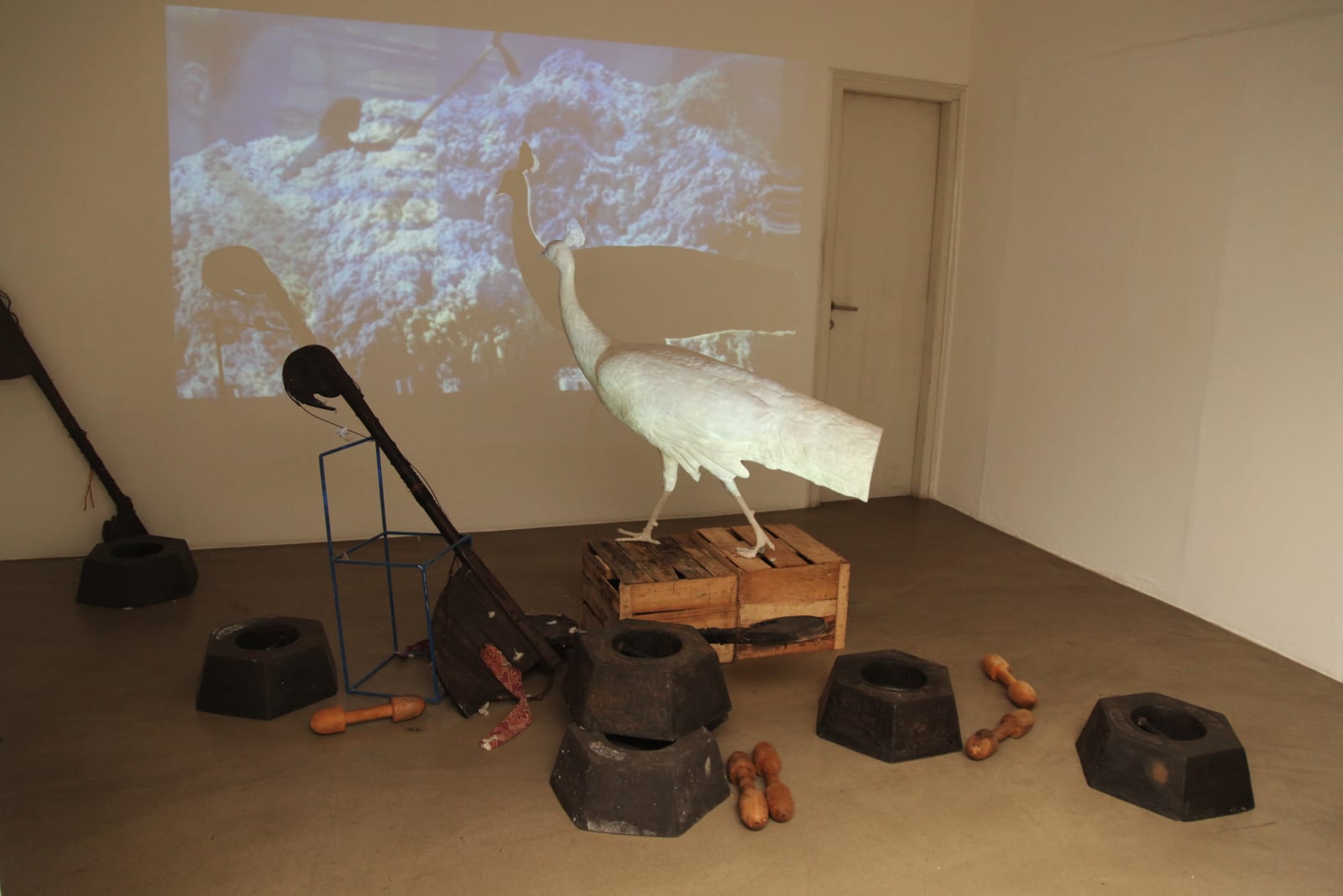 B.V. Suresh, Chronicles of Silence (Khamoshi ki Daastan), 2015