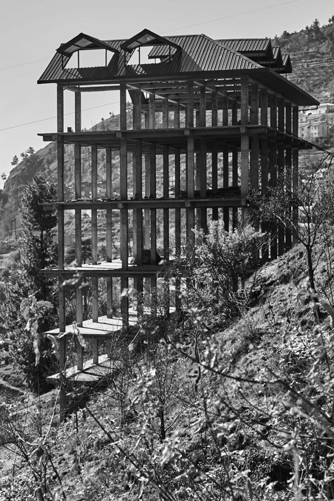 Vicky Roy, Untitled, 2015