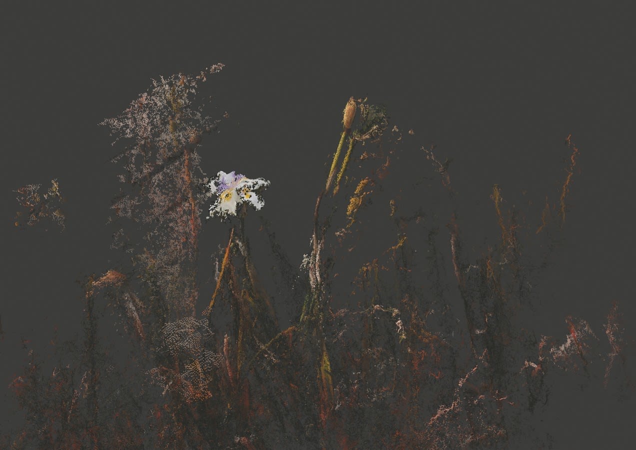 Moonis Shah, Found besides the boredom of human life, 2019