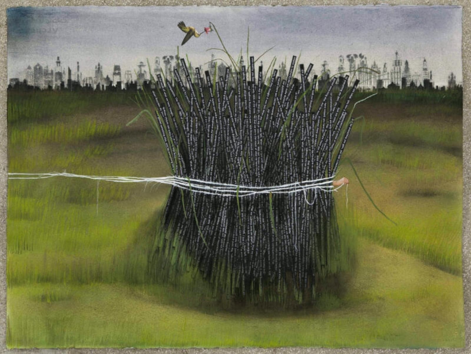 Hema Upadhyay, Extra Ordinary