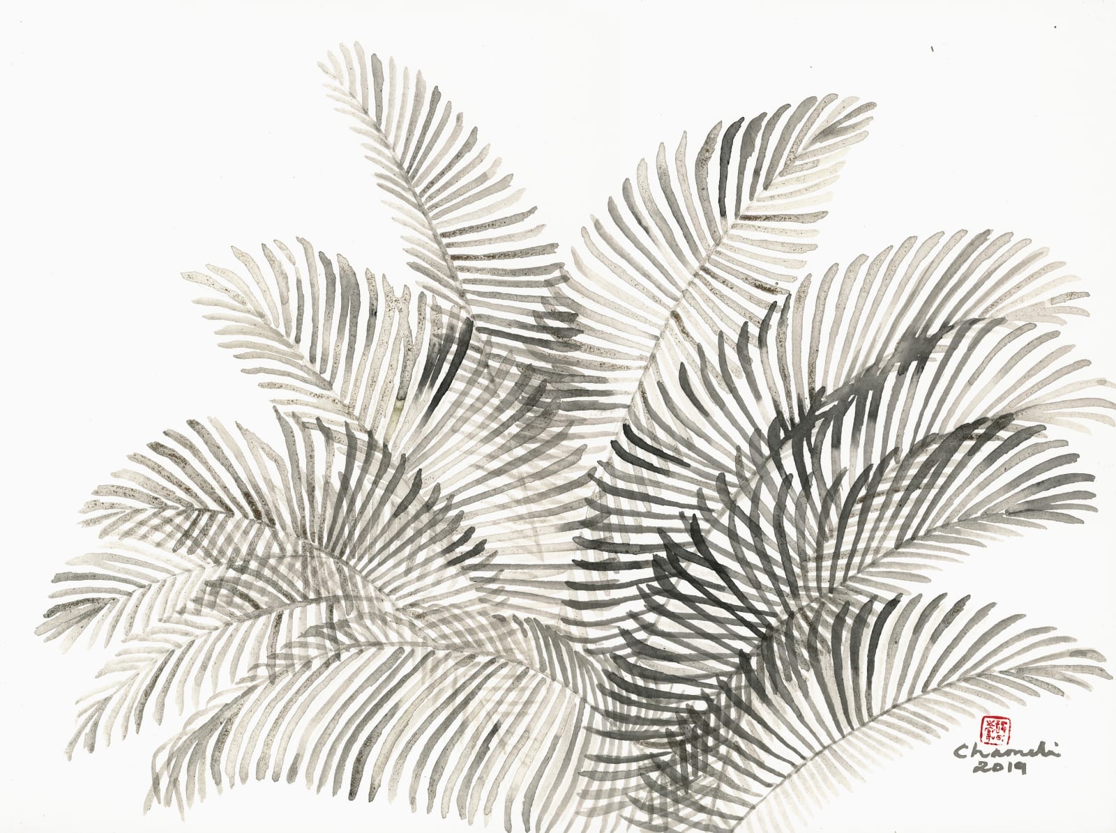 Chameli Ramachandran, Untitled, 2019