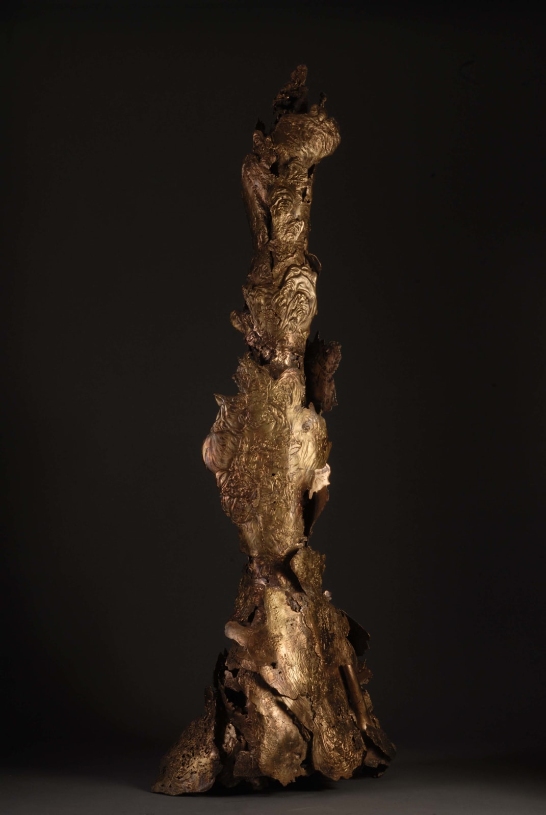 Mrinalini Mukherjee, Emergent -II, 2006