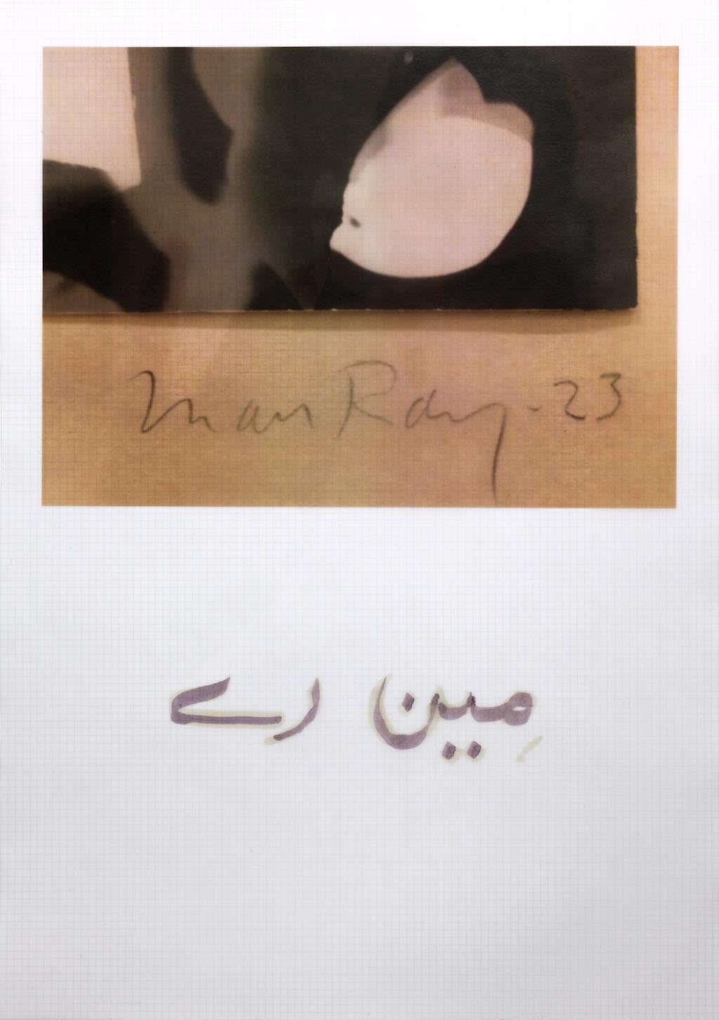 Faiza Butt, Translation (Edition of 2), 2012