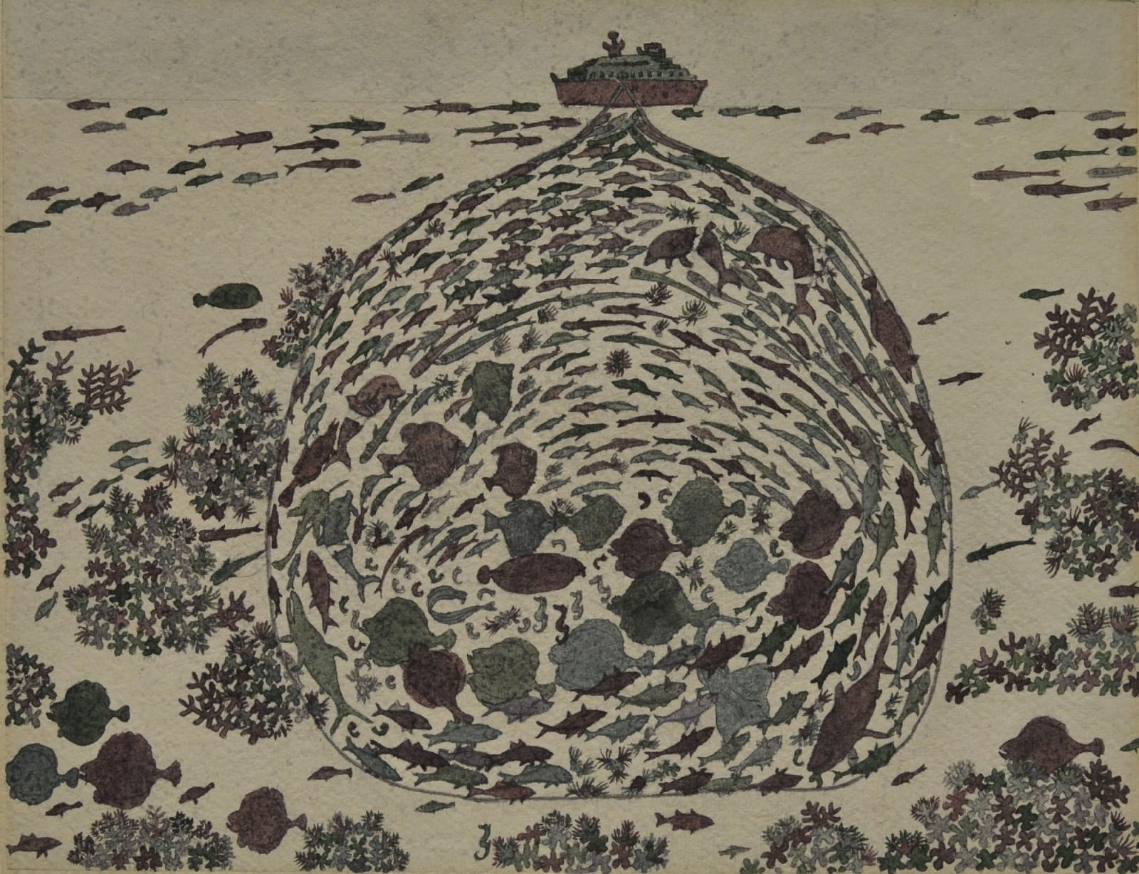 Gipin Varghese, Commonly Caught Species, 2010