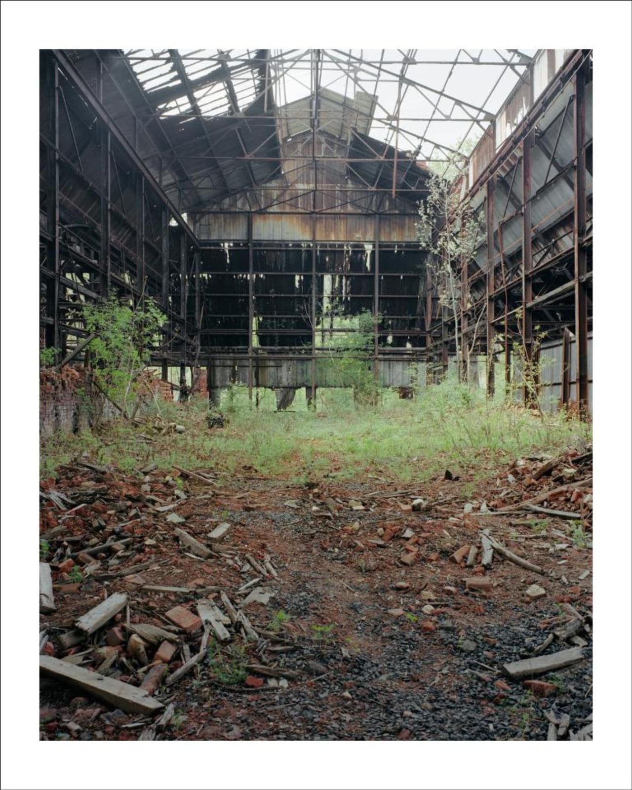 Rishi Singhal, Untitled