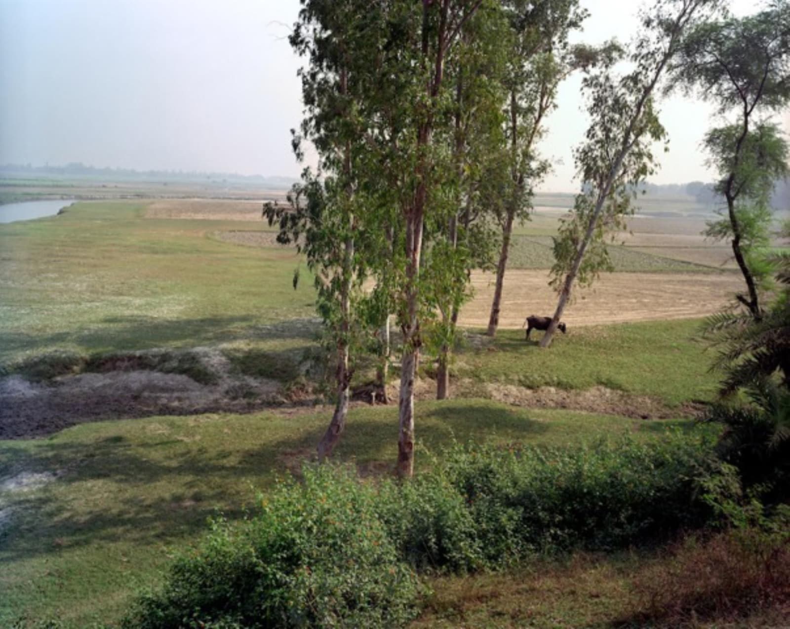 Sunil Gupta, Untitled #34 (Country) Edition: 1/7, 2011