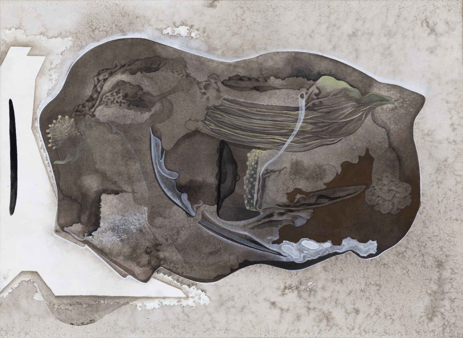 Anandajit Ray, Pseudo Pathogen - 2, 2019
