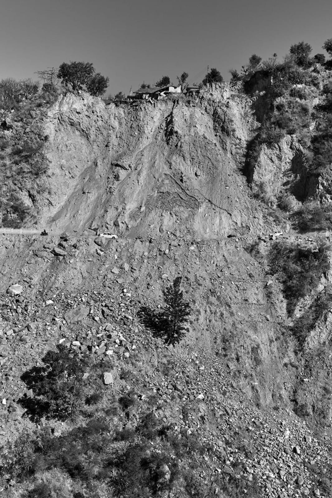 Vicky Roy, Untitled, 2015