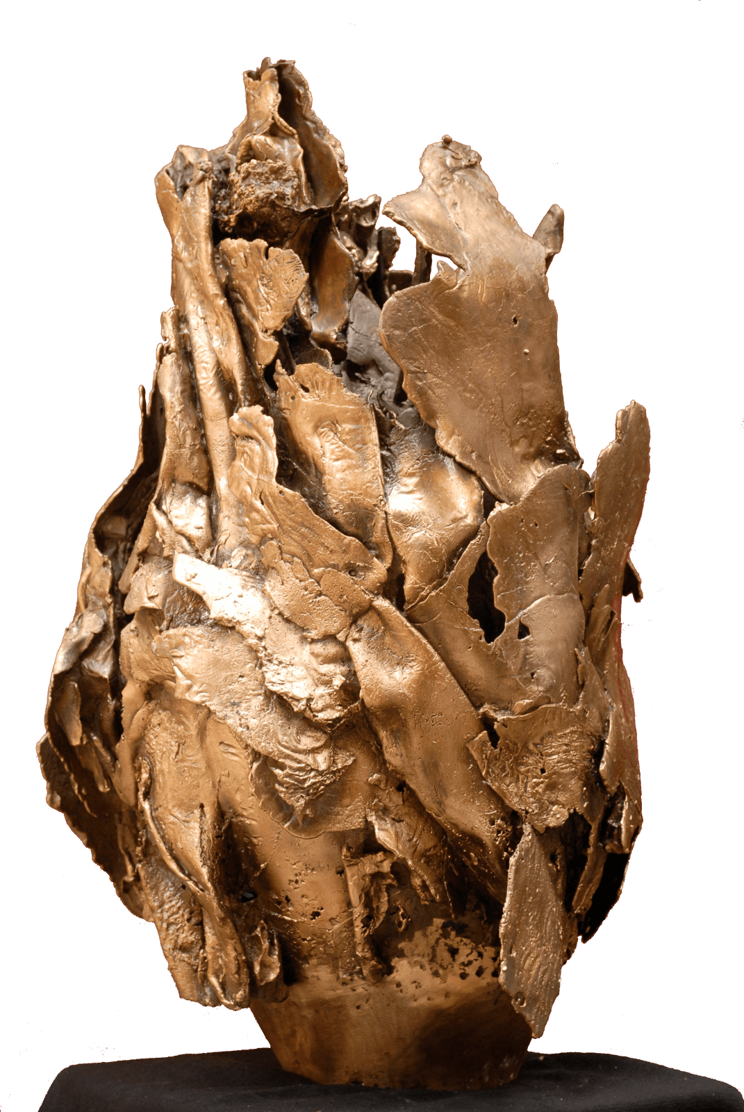 Mrinalini Mukherjee, Matrix- II, 2006