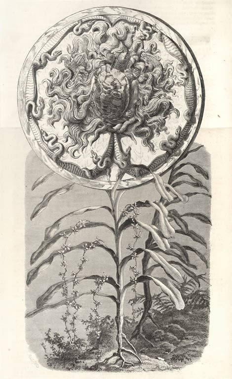 Juul Kraijer, Untitled, 2020