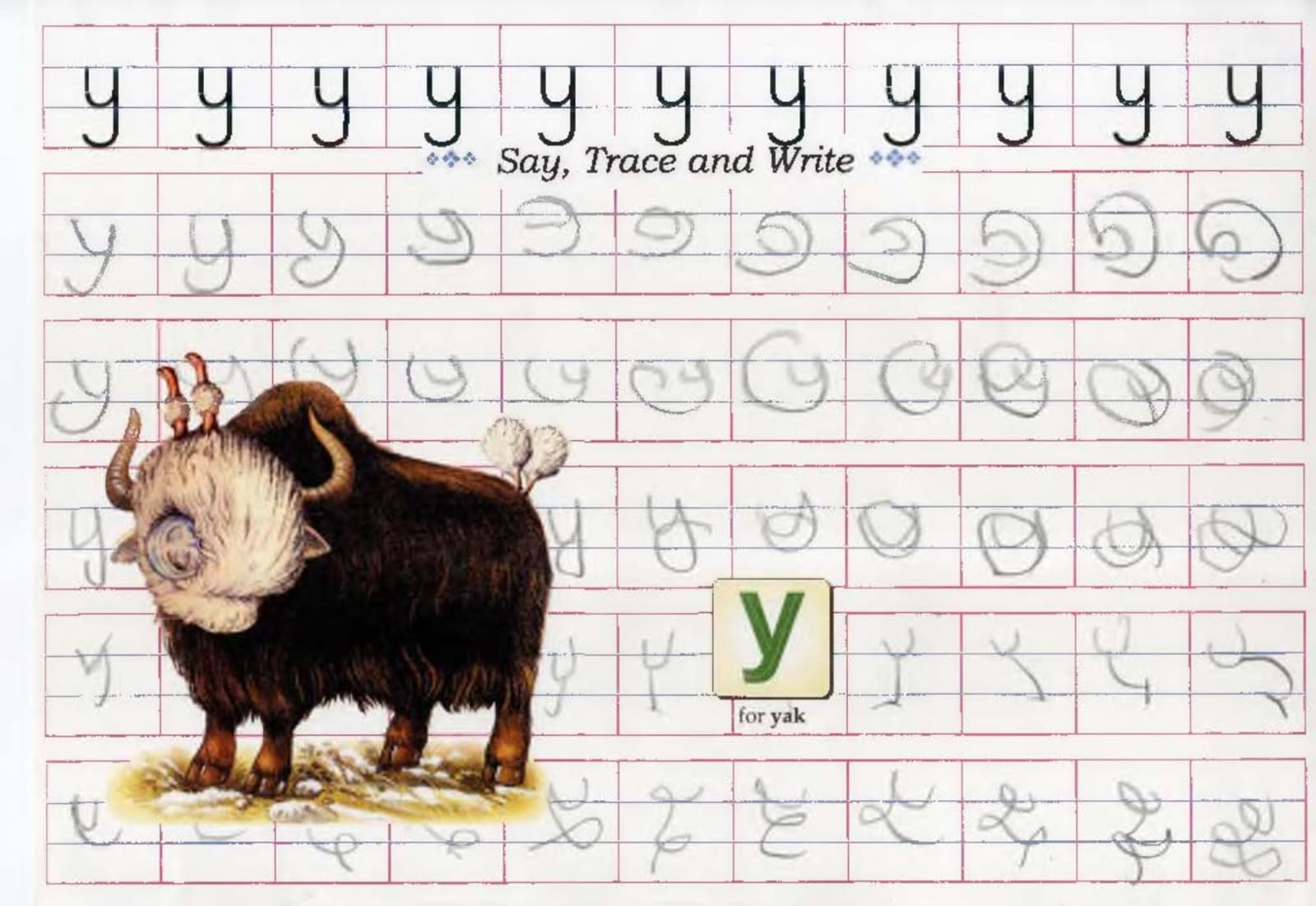 Aruna Rao, Say,Trace and Write