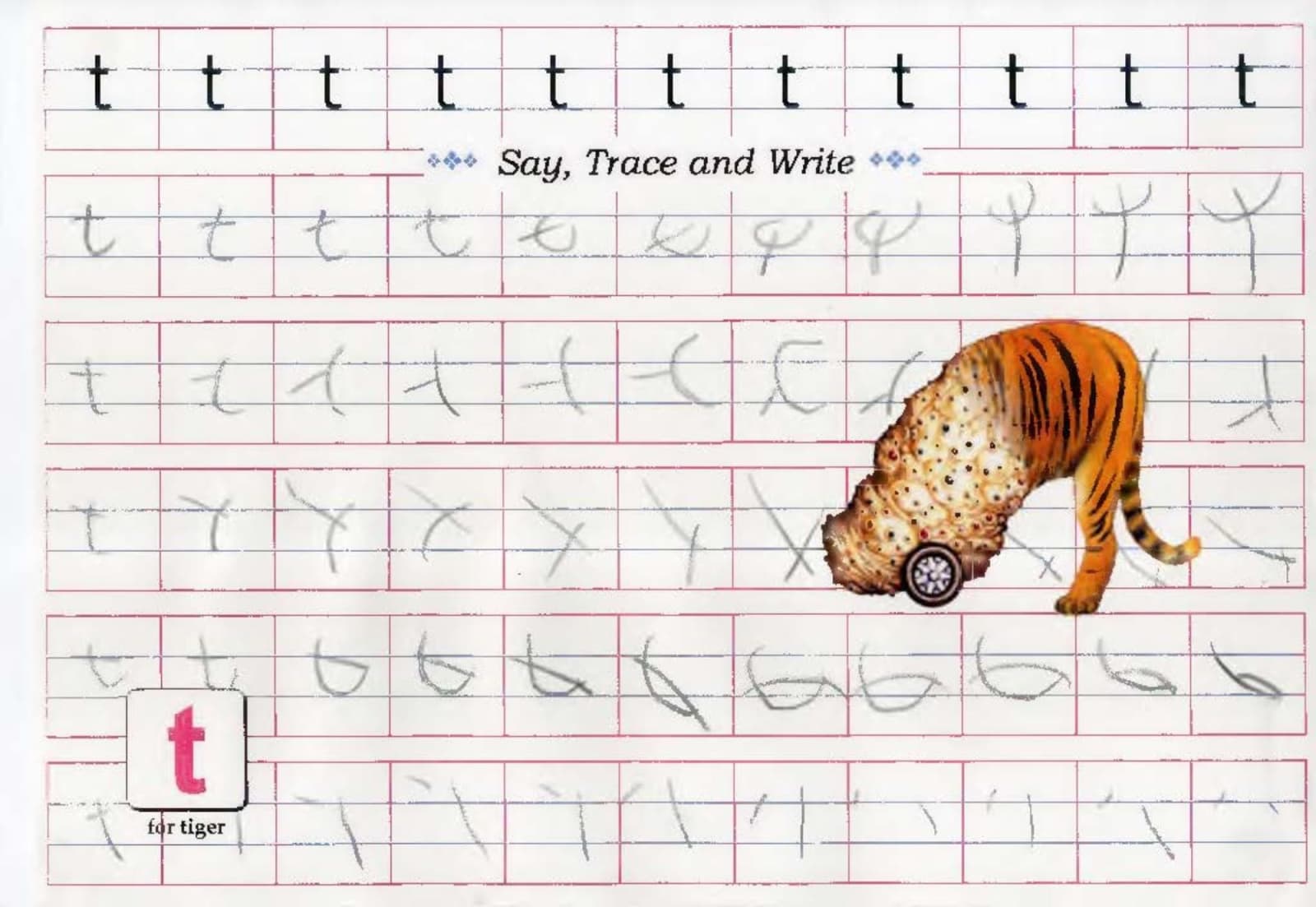 Aruna Rao, Say,Trace and Write