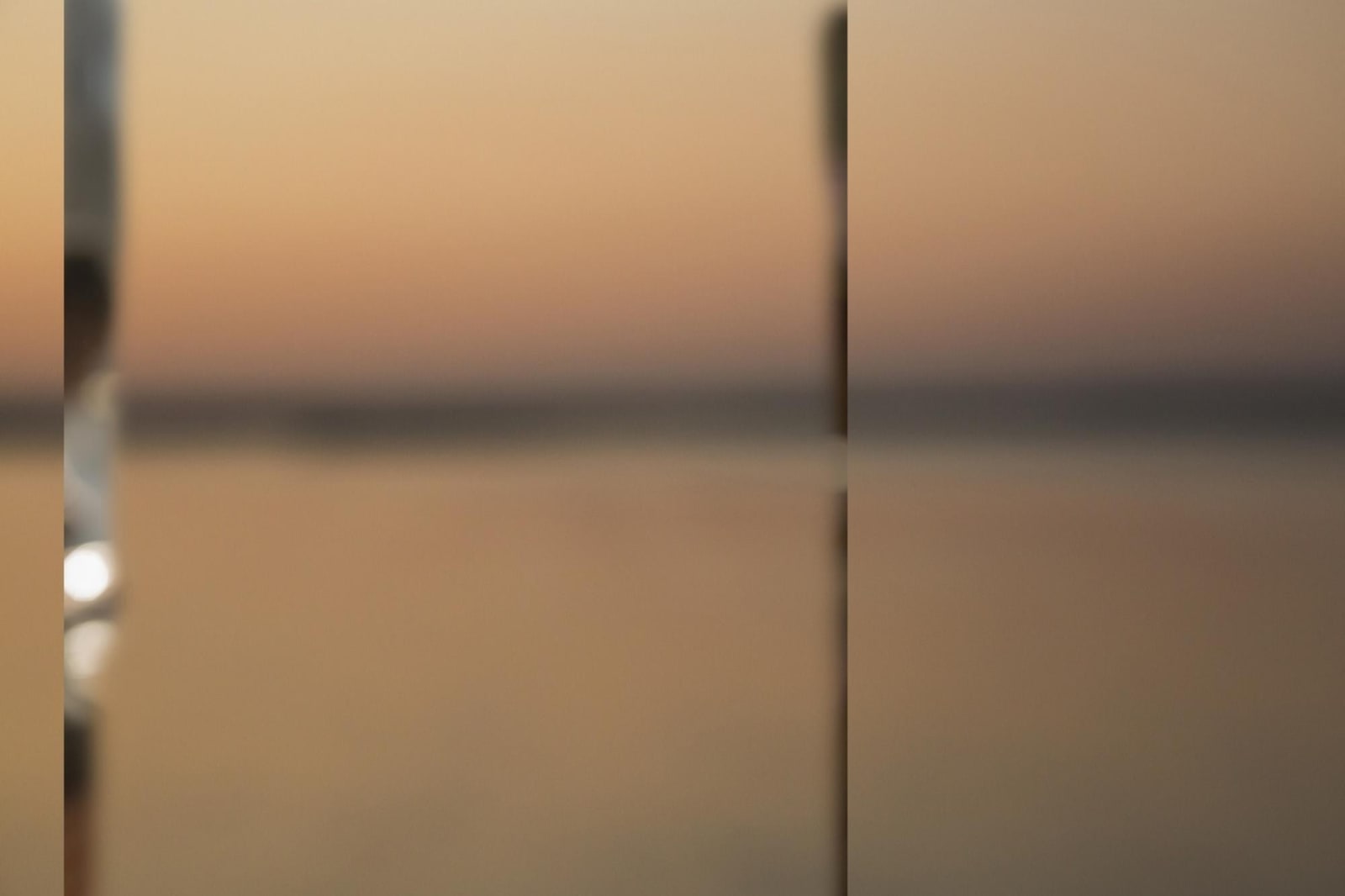 Atul Bhalla, Anhedonic Landscape II (Edition :1/3)