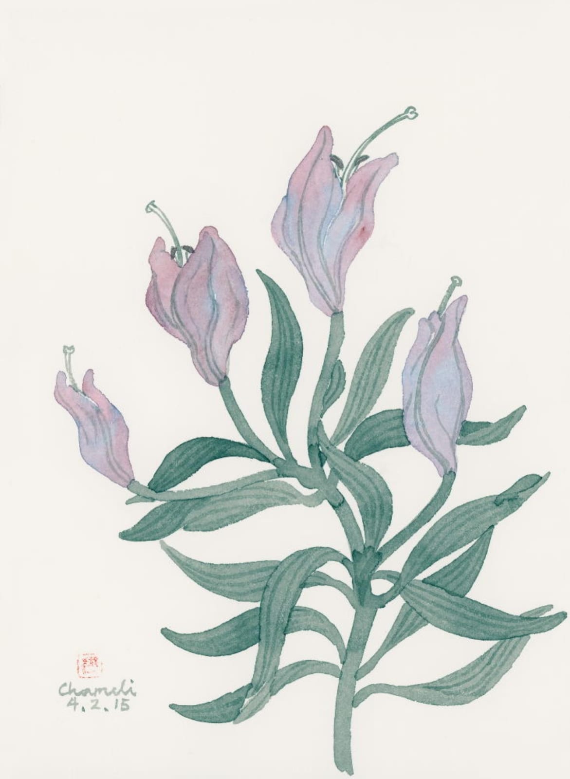 Chameli Ramachandran, Untitled, 2015