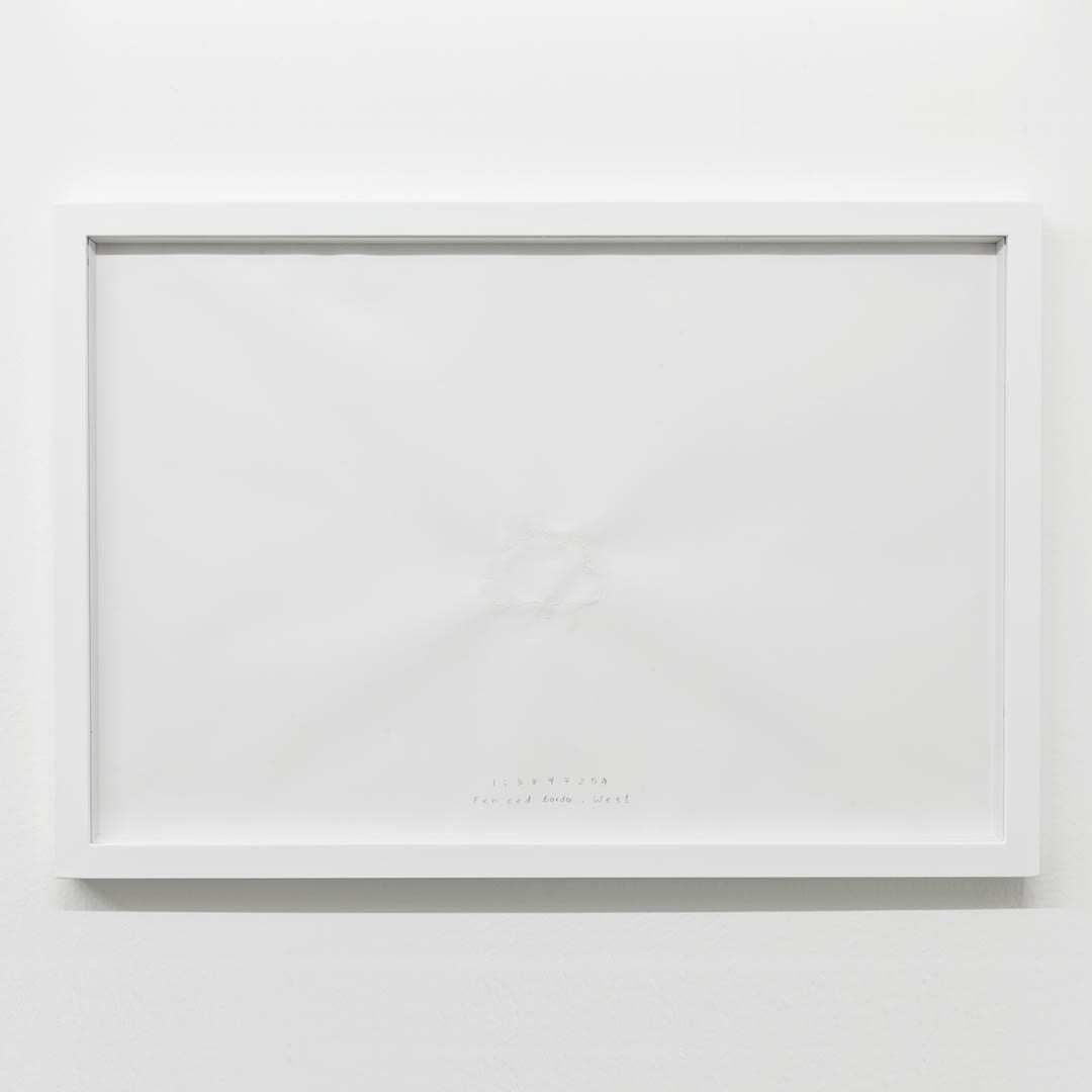 Shilpa Gupta, 1:3897254 Pecan Tree, 2013