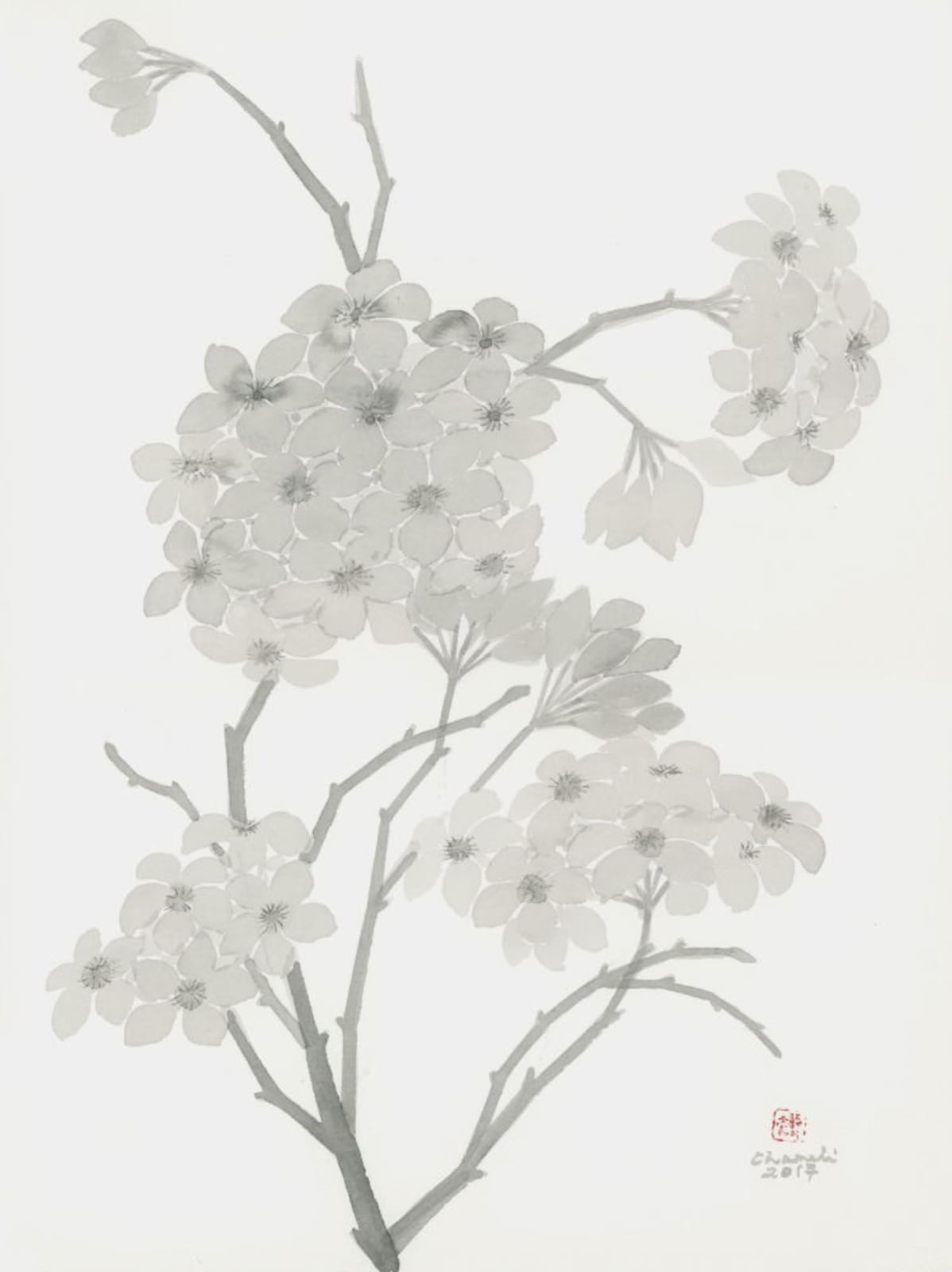 Chameli Ramachandran, Untitled, 2018