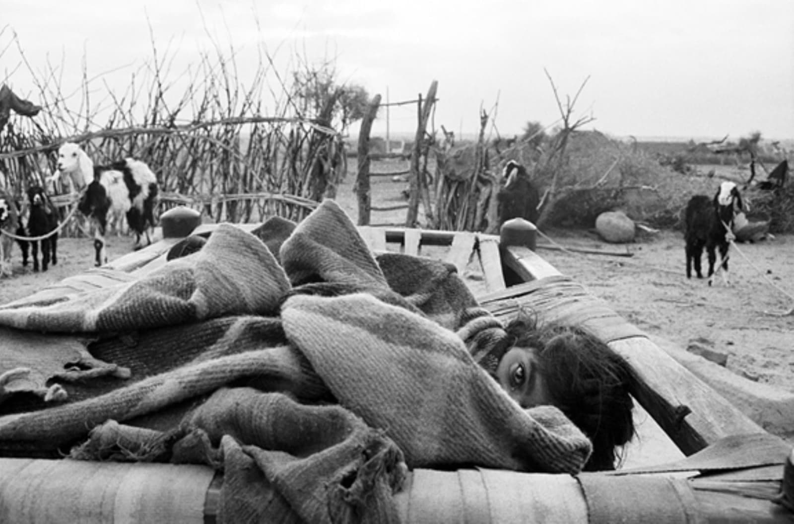 Gauri Gill, Jannat# 34 (Edition:1/7 + 2AP), 9907