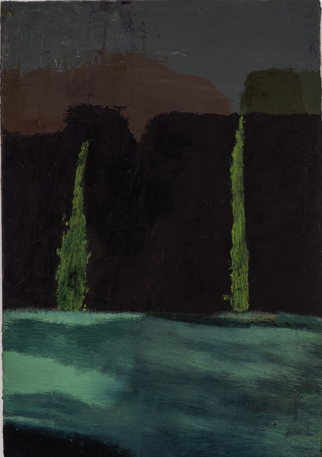 Biraaj Dodiya, Twin Falls, 2020