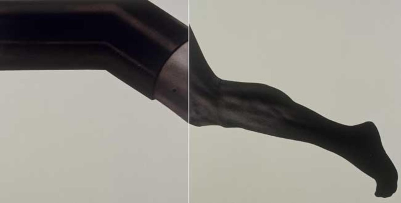 Rameshwar Broota, Untitled, 2006