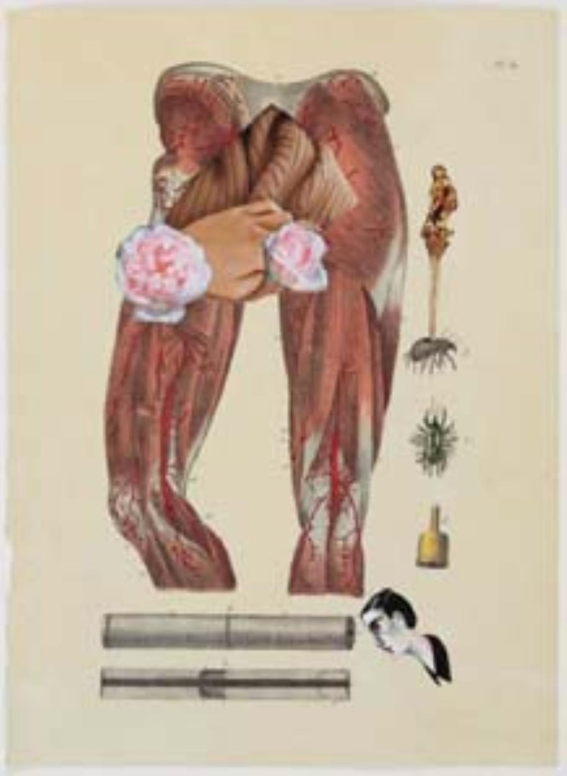 Anju Dodiya, Aphrodite, 2014