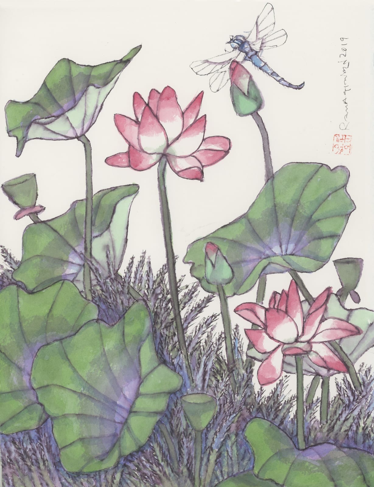 A. Ramachandran, Study for Lotus, 2019