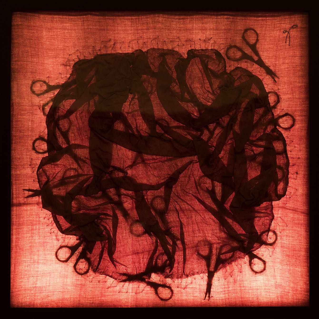 Rakhi Peswani, Sensation Samplers