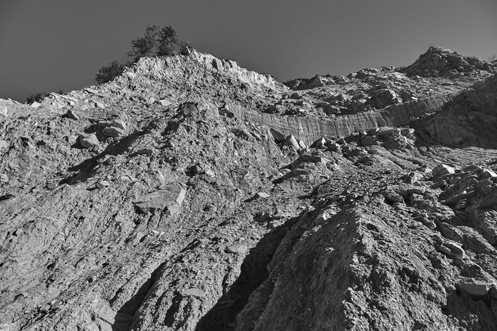 Vicky Roy, Untitled, 2015