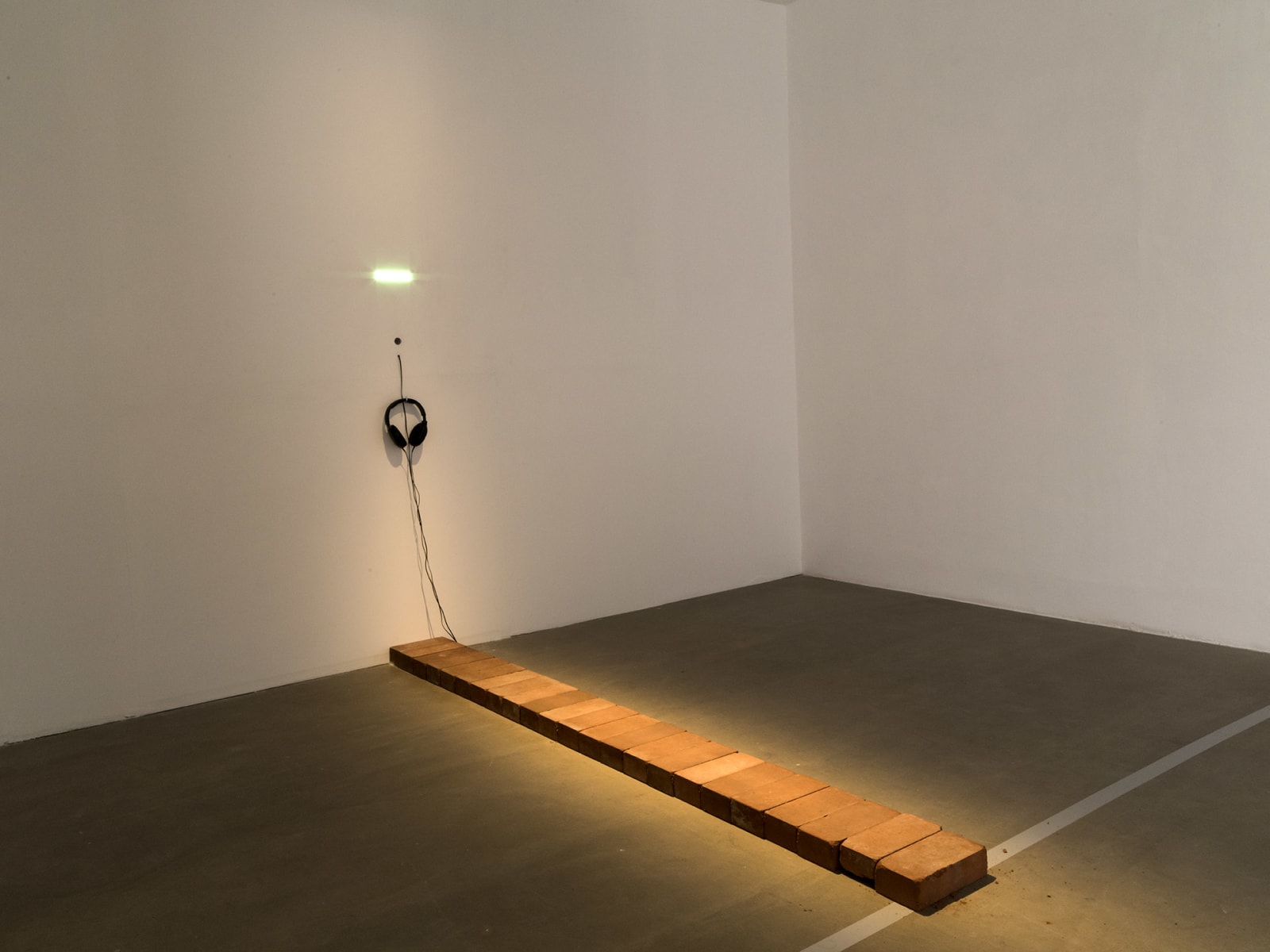 Shilpa Gupta, Speaking Wall