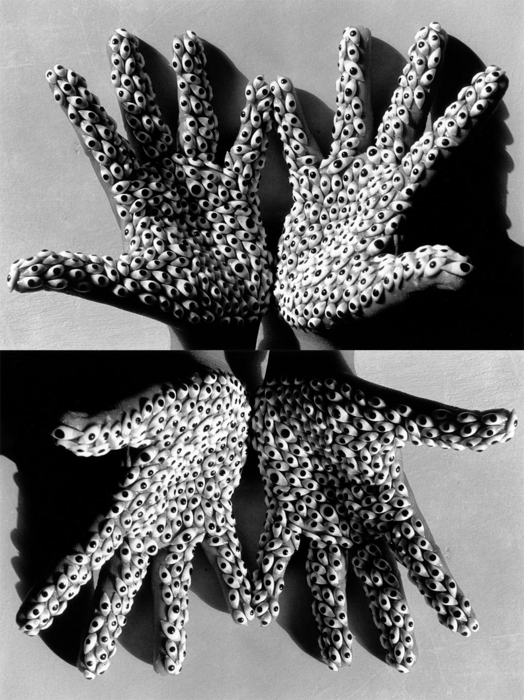 Anita Dube, Sea Creature, 2000