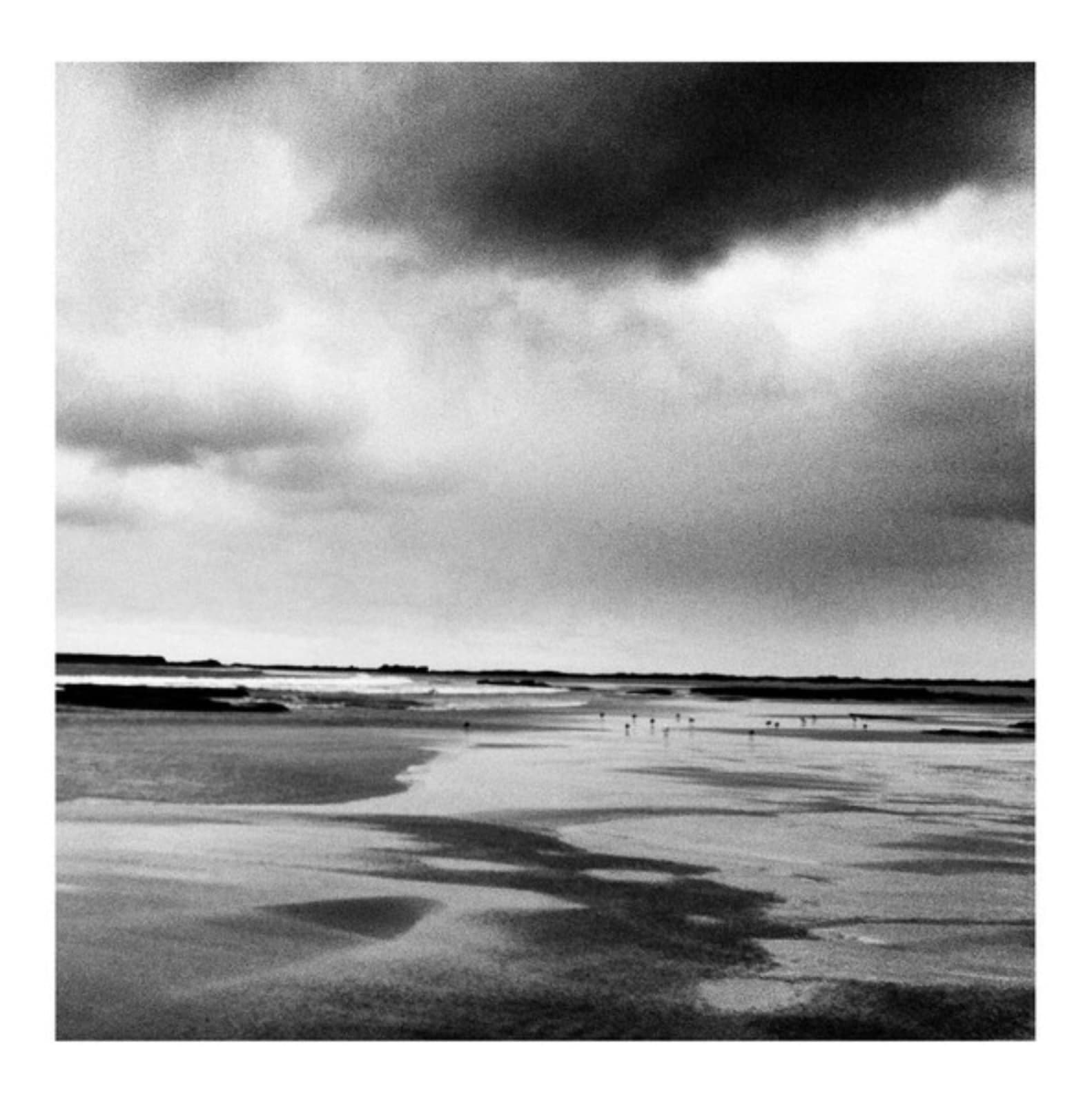 William Dalrymple, Untitled