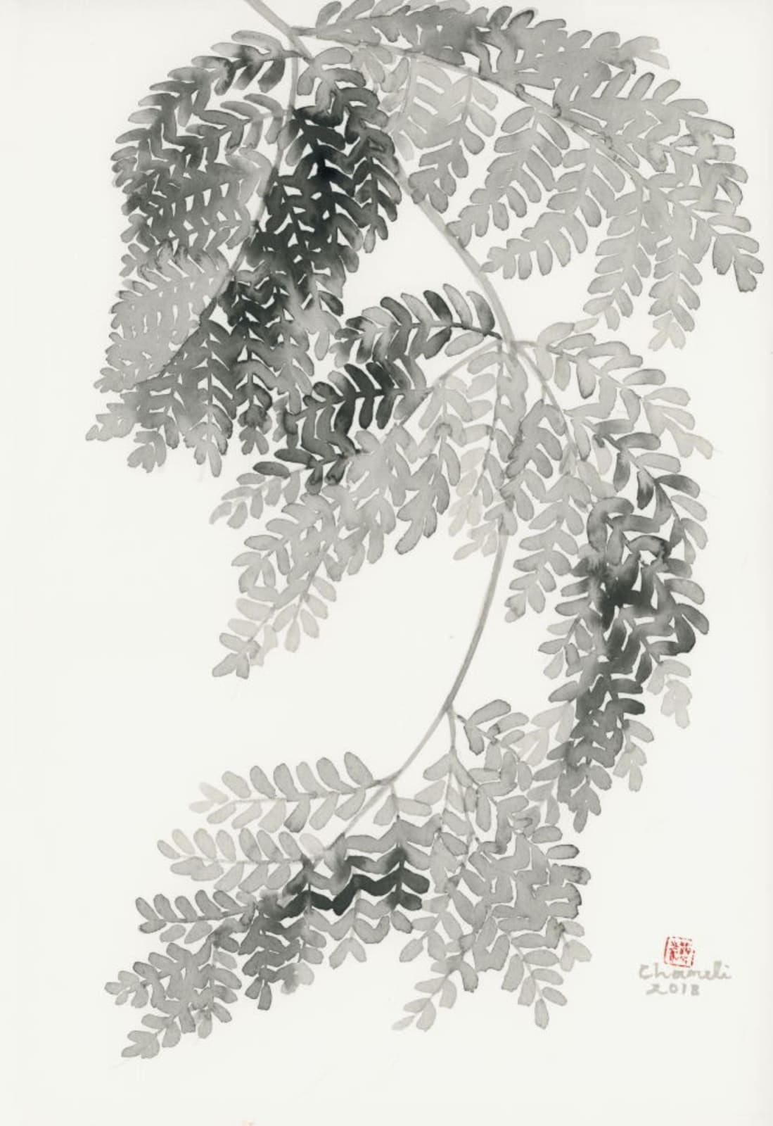 Chameli Ramachandran, Untitled, 2018