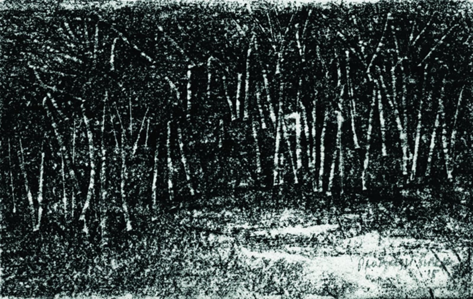 Paramjit Singh, Untitled, 2015