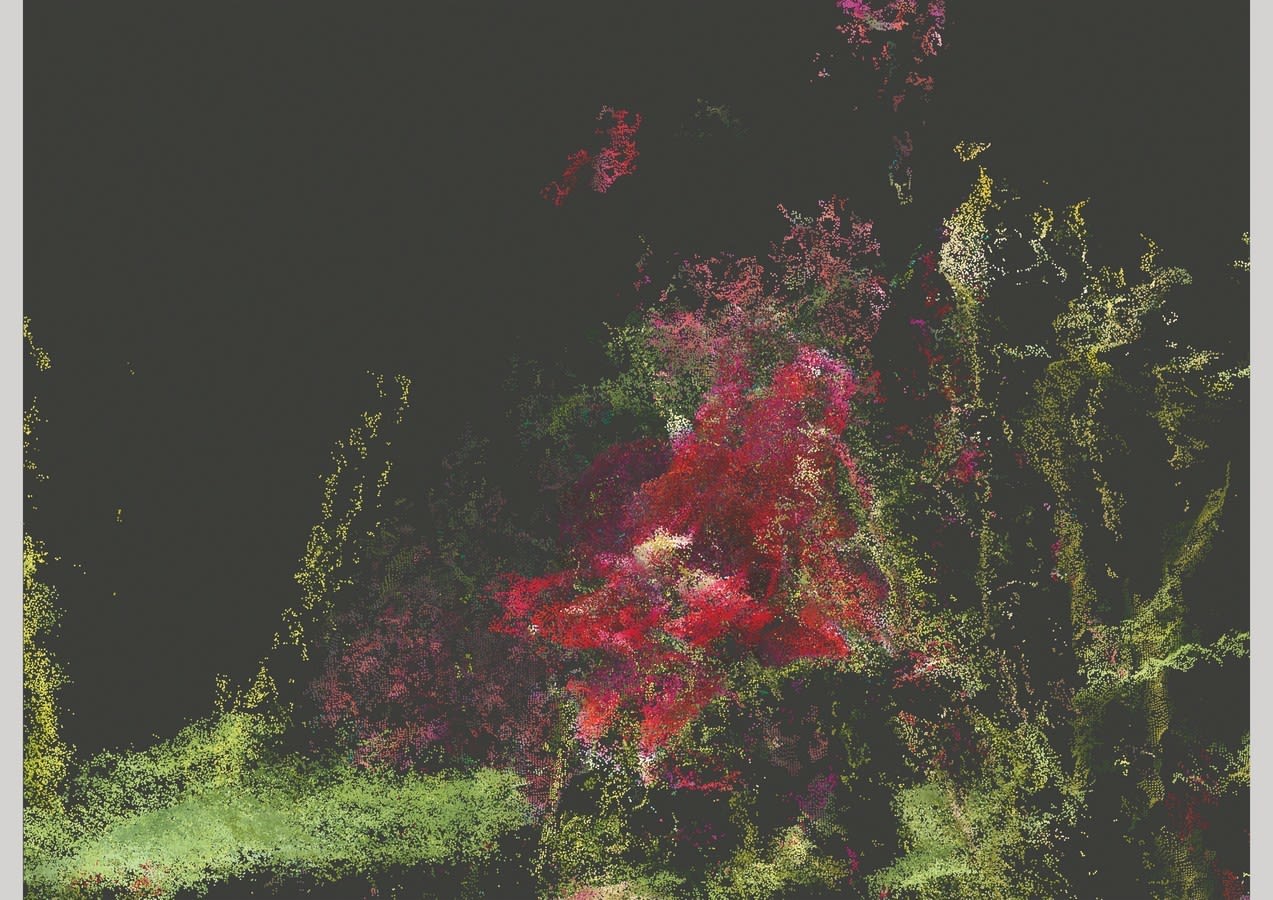 Moonis Shah, Found besides the boredom of human life, 2019