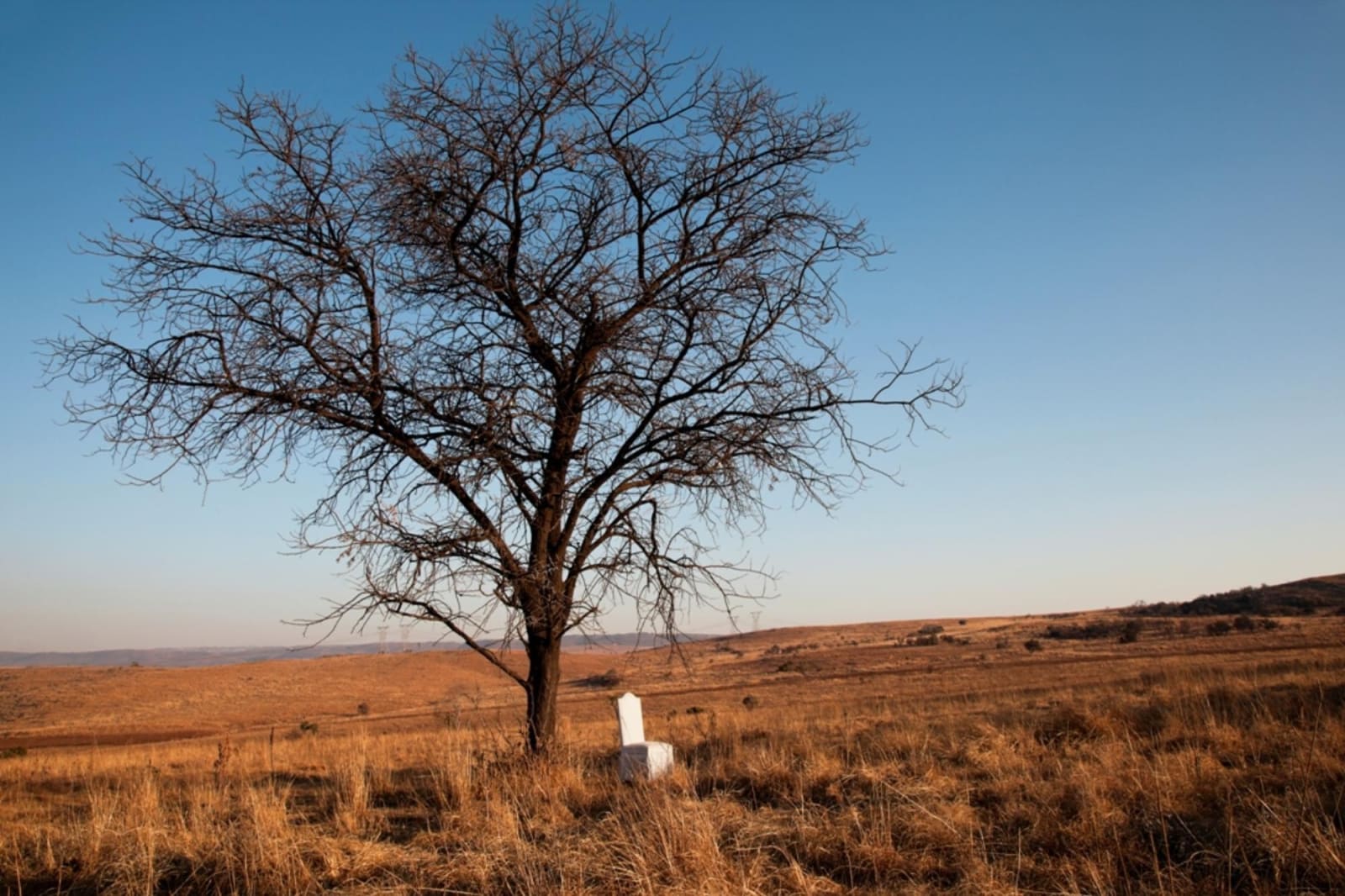 Atul Bhalla, Chair in the Landscape, 2013