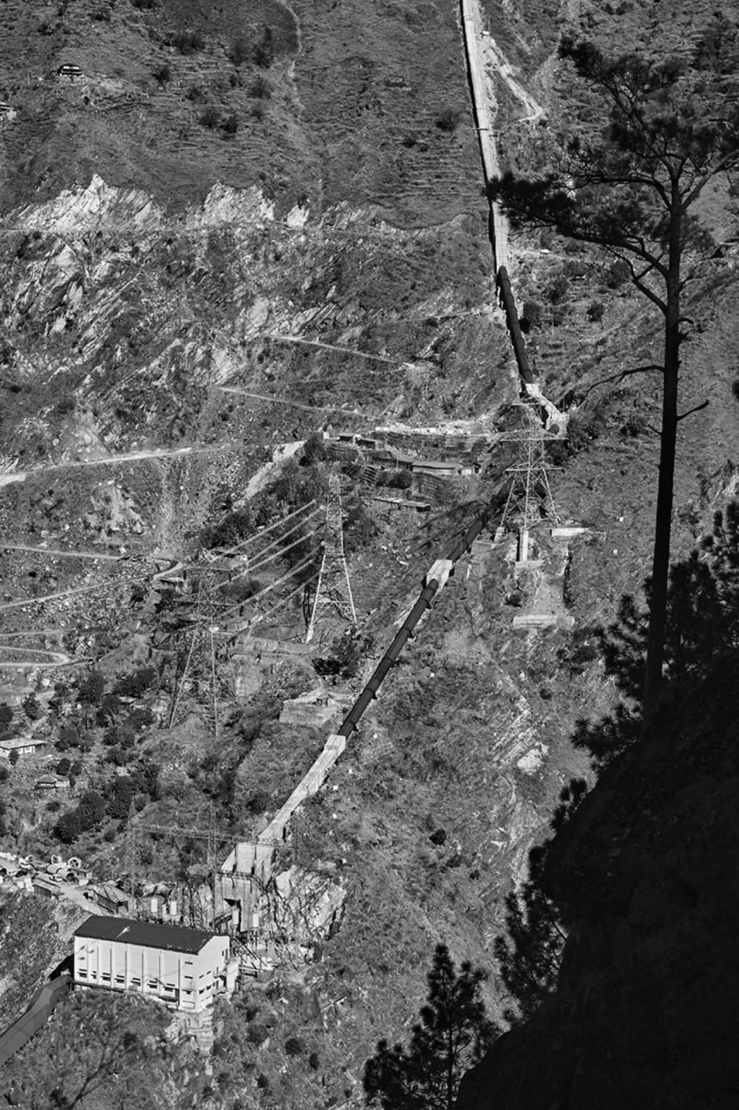 Vicky Roy, Untitled, 2015