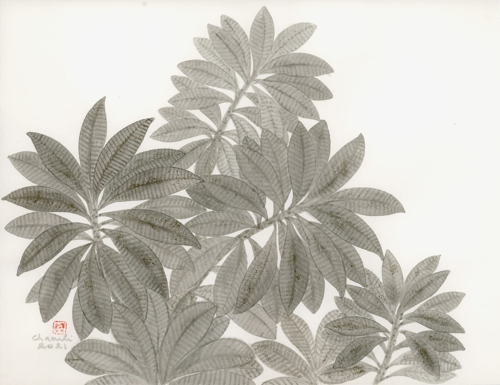 Chameli Ramachandran, Untitled, 2021